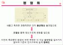 장 피아제의 주요 이론 상세 분석과 교육적 의의와 비판 및 평가(2012년 추천 우수 레포트 선정★★★★★) 11페이지