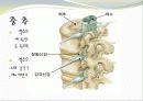 중추신경계, 체성신경계, 자율 신경계에 대한 이해와 사진들 (2012년 추천 우수) 2페이지