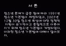 [청소년기본법] 청소년 기본법의 주요 내용과 특징 및 문제점과 개선방안(2012년 추천 우수 레포트 선정★★★★★) 3페이지