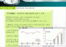 국책사업 - 한국 수출국책산업의  경쟁력과 전망 그리고 관련 기업분석 25페이지