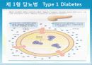성인질환과 운동처방 - 당뇨병diabetes 25페이지