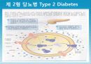 성인질환과 운동처방 - 당뇨병diabetes 28페이지