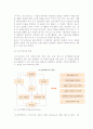 [물류] 물류의 발전과정과 구성 및 영역 4페이지