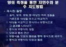 양의 측정을 통한 자연수와 분수지도의 교수학적의의 7페이지