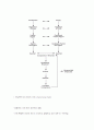 로저스의 현상학(phenomenology) R타입 2페이지