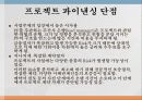 프로젝트파이낸싱 성공사례(1개) 및 실폐사례(1개)과 장단점 8페이지