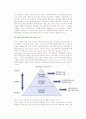 [기업의 경영관리] 경영관리의 개념과 계층, 계층별 경영관리를 위한 정보시스템 6페이지