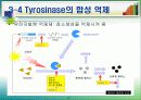 미백화장품 17페이지