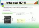 미백화장품 18페이지