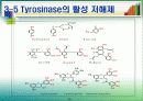 미백화장품 20페이지