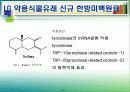 미백화장품 27페이지