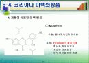 미백화장품 28페이지