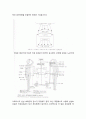 성의 생물학 ★ 4페이지