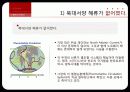 지구온난화음모론 44페이지