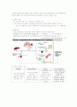 성간 비뇨기계 summary 3페이지