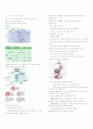 각론 ll 조혈계 및 림프망내계 - 조혈계 & 림프계 & 비장 1페이지