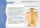 척수손상 환자간호 3페이지