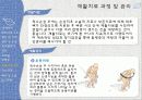 척수손상 환자간호 11페이지