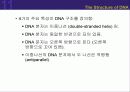 (강추) DNA의 유전 (Heredity)에서의 역할 19페이지