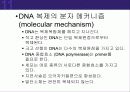 (강추) DNA의 유전 (Heredity)에서의 역할 30페이지