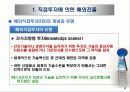 해외직접투자와 전략적 제휴 10페이지