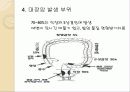 한국 의학연구소(KMI) 11페이지