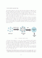 SNS와 Wiki 사례, 중심(위키피디아, 위키리크스, 위키 노믹스, 사례, 특징, 한계)열린 네트워크와 상호작용의 사회 8페이지