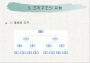 사회복지 조직구조 14페이지