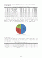 SNS(Social Network Service)를 통한 국내 소셜커머스의 문제점 및 향후 발전방향 25페이지