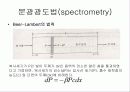 컨쥬게이션 염료의 흡수 스펙트럼(예비+결과) 35페이지