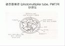 컨쥬게이션 염료의 흡수 스펙트럼(예비+결과) 45페이지