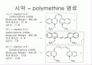 컨쥬게이션 염료의 흡수 스펙트럼(예비+결과) 47페이지