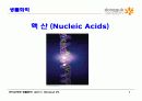 9.+핵산(Nucleic Acids) 1페이지