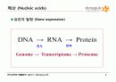 9.+핵산(Nucleic Acids) 2페이지