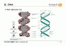 9.+핵산(Nucleic Acids) 11페이지