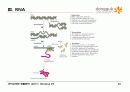 9.+핵산(Nucleic Acids) 26페이지