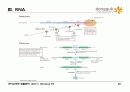 9.+핵산(Nucleic Acids) 28페이지