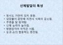 3, 4세 유아 연령별 발달 특성, 신체, 인지, 언어, 사회, 정서 발달 특징 4페이지