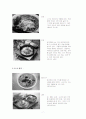 국수의 기원,  종류 및 제조과정의 변천사 7페이지