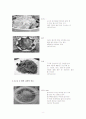 국수의 기원,  종류 및 제조과정의 변천사 8페이지