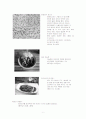 국수의 기원,  종류 및 제조과정의 변천사 9페이지