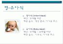 대한항공 (Korean Air) 11페이지