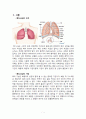 폐렴(pneumonia) 2페이지