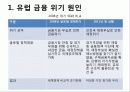 유럽 재정 위기 8페이지