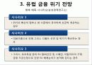 유럽 재정 위기 21페이지