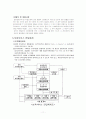 영유아보육법 13페이지