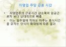 한국 자영업의 실태와 특징 및 구중간계급 26페이지