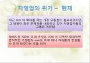 한국 자영업의 실태와 특징 및 구중간계급 41페이지