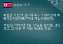 북한 핵 보유에 대한 한국의 생존전략 4페이지