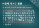 북한 핵 보유에 대한 한국의 생존전략 6페이지